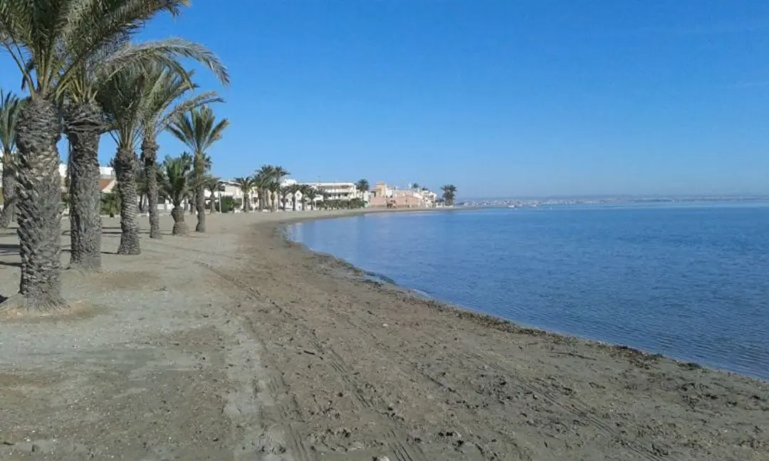 La Espiga del Mar Menor